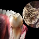 세종치과의원 이미지