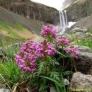 구름송이 이미지