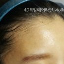 비올라(violla) 이미지