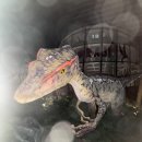 그남자네꽈배기의곡점 | 교과서는 이 세상을 못 담아