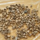 북초교병설유치원 이미지