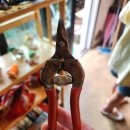 이동문농장 이미지