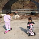 해늘농원 이미지