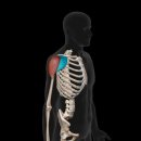 애슬레틱 서래 이미지