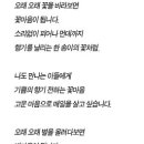 삼흥인삼상사