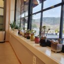 마곡사서울식당 이미지