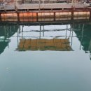 부흥호좌대2낚시터 이미지