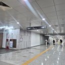 206 | 젠몬 젠틀몬스터 마르지엘라 콜라보재고 있는곳(MM207,MM206)착용 후기