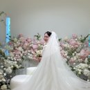블리스 | 바리w| 완전 만족한 대구 라테라스웨딩 본식아이폰스냅 블리스 촬영후기