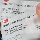 아양3로 | 아양아트센터 베베핀 뮤지컬 자리 좌석 2층 E구역 내돈내산 후기