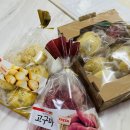 경기도 수원시 팔달구 장다리로233번길 이미지