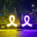 남구-19 이미지