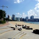 동백섬마리나
