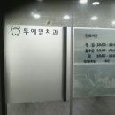 서울투에잍치과 네이버블로그