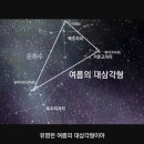 데네브 - 수영구 광남로22번길 14 | 데네브