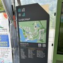 충주에 이런 곳이 있었다고?! 액티비티 맛집 벨포레 리조트 익스트림 루지 후기