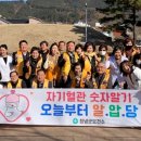 창녕상설시장 이미지