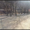 초성 농장 이미지