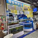 제일횟집 | 강릉맛집, 제일횟집 신선한 모듬회 &amp; 물회 포장 후기