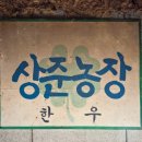 상준농장 이미지