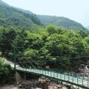 지리산숲속의쉼터 이미지
