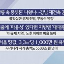 강낭 네이버블로그
