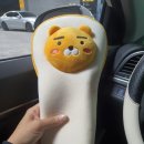 이태규골프아카데미 | 시지골프레슨 초보부터 전문가까지 디테일한 골프 레슨 추천 " 이태규골프아카데미 "