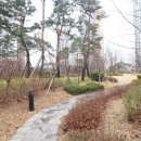 고덕제일공인중개사사무소 이미지