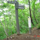 (주)대봉기연 | [스크랩] 백두대간 제9구간(동엽령~빼재) 산행기(04년06월27일 산행)