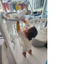 씽씽송송 | [모모래빗] 에코씽씽 기저귀 통기성 최고!