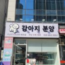 퍼피루미 이미지