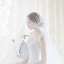 베리굿투어 이미지