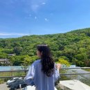 [수둥일상] 바이레도 | 도산공원디저트카페 | 남한산성 봄소풍 | Summer in New York