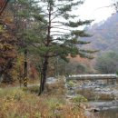 미천골펜션 이미지