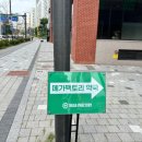 맘스터치(판교밸리 고등점)