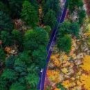 이모하여행사 이미지