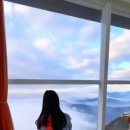 동백민박 이미지