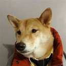 개간지