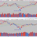 (주)비엔씨글로벌 이미지