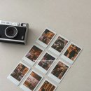 준1 | w/5-1 준스튜디오 상해 상하이 웨딩 스냅 후기 (로엘드마리 드레스, 피치벨라 부케)