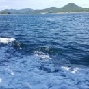 조우민박 이미지