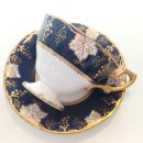 바인블루 이미지