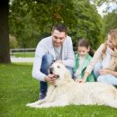 반려동물관리사 이미지