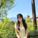 EG투어버스 D코스 | 일본 교토 여행 코스 버스투어 당일치기 1일 오사카 출발 가족여행 후기