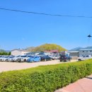 영덕 무형문화재 전수관 | 산청 생초조각공원 꽃잔디 2026 | 실시간 개화상황 + 제6회 축제 일정 총정리