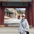 구례밀면 이미지