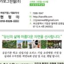 숲엔숲 이미지