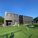 경기 광주 애견 카페 &#34;몽실이네&#34; 매번 방문하지만 역시나 늘 좋은 곳_!