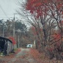 골드리버캐슬 이미지