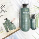 보떼리아헤어